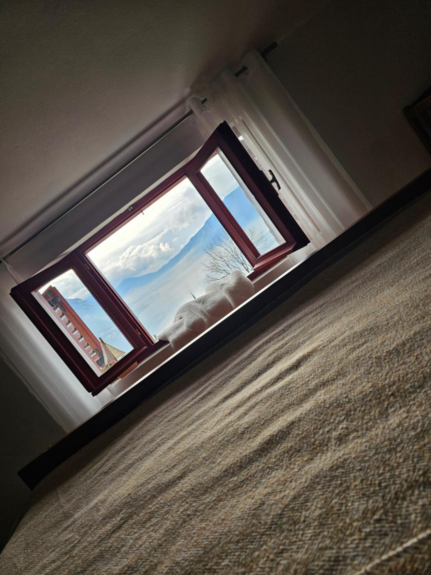 Apartments Nadja Kotor Room photo